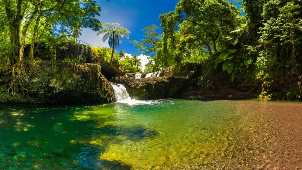 Vibrant Togitogiga falls with swimming hole on Upolu, Samoa Islands